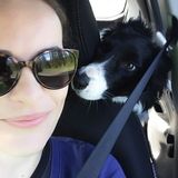 Great Dog Walker for Your Home