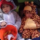 Looking for a full time nanny