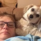 I am an excellent. Pet care provider
