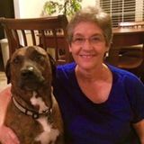Experienced Pet Service Provider in Evans, Georgia