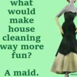 Present Housekeeping Service for Hire