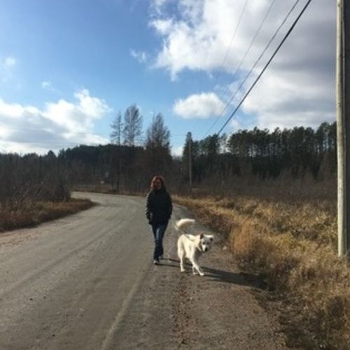 Pet Care Job Rosie D's Profile Picture