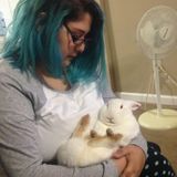 Helping Your Animals Live A Fuller Life!