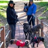 My daughter and I are a great team as professional pet sitters and dog walkers in southwest Escondido and Rancho Santa Fe