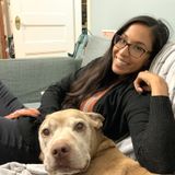 Los Gatos House and Pet Sitter Interested In Being Hired