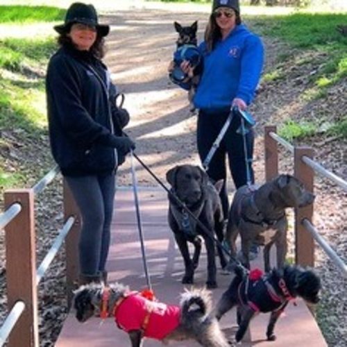 Pet Care Provider Fawn A's Profile Picture