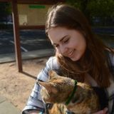 Energetic and Caring Pet Sitter