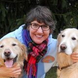 Love dogs? You'll LOVE this job!