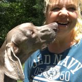 Professional, Loving and Affordable pet care tailored to your pets needs