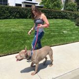 Anaheim Housesitter Interested In Work.
My name is Savannah.
I am new to being a house sitter.