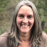 Offering Tampa House Sitter,Plant Sitter and or Petsitter