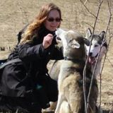Dog Walker - Waterloo ON (Beechwood / Maple Hills Area)