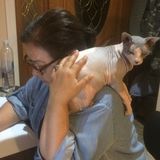 For Hire: Skilled Animal Caregiver in Sylmar