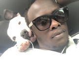 Present Pet Sitter