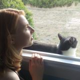 Doting Pet-Sitter Available for Daytime Visits and Overnight Stays