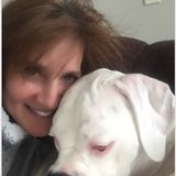 HappyTails in Naperville, Illinois