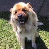 Student looking for part time work!