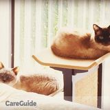 Providing LUV and CARE when you aren't there!