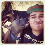 Dog Walking, Dog Adventures and Pet Sitting
