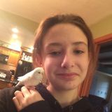 Interviewing For a Pet Carer Job in Marlton