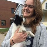 Pet Care Provider