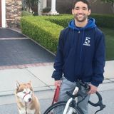 I love dogs! Currently searching for a Dog Walker Opportunity