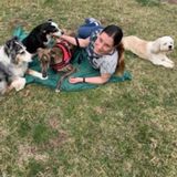 Mid-day care Needed in Bloomsbury, NJ