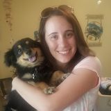 Dog Sitting Professional in Phoenix