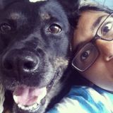 Paw-some pet sitter looking to help care for a four legged friend!