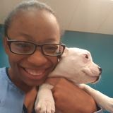 For Hire: Disciplined Pet Sitter in Hazel Green