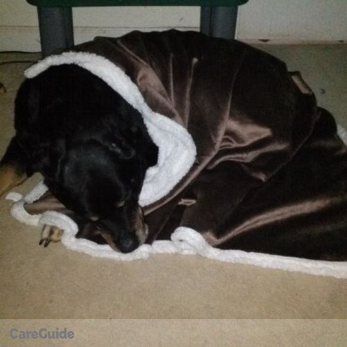 Pet Care Provider Georgia M's Profile Picture
