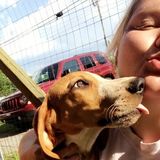 The best care for your best friend!