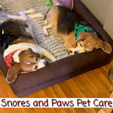 Over 15 years experience caring for pets.