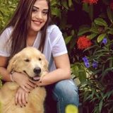 Available: Caring Pet Sitter in North Miami Beach, Florida