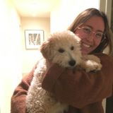 Barrie Pet Care Provider Looking For Job Opportunities