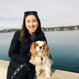 Enthusiastic and loving Dog Sitting/Walking Professional Available starting this summer!