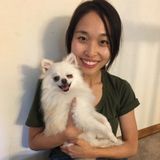 Dog Sitter and Walker looking for Job Opportunities in or near the Blaine area