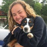 I am a Sophomore at Illinois State looking for a pet sitting job while I am in Bloomington-Normal, IL for the school year.