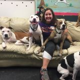 Loving and fun pet sitter!