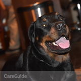 Pet sitter available Now!