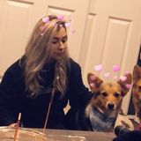 Victorville Pet Service Provider Interested In Job Opportunities in California
