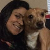 Reliable and dependable house sitter