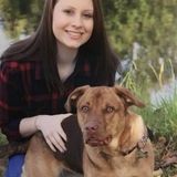 For Hire: Careful and Delightful Dog Walker in Paragould