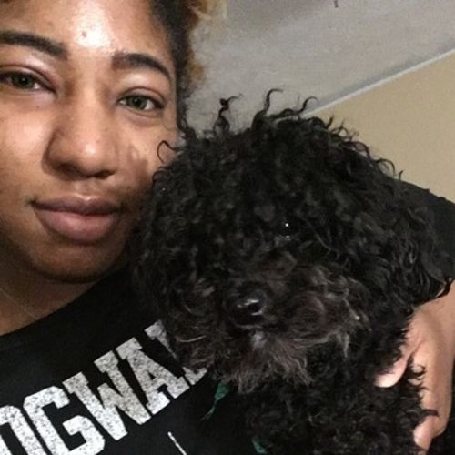 House Sitter Provider Jazmin G's Profile Picture