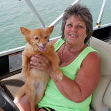 Dog lover and have the scars to prove it!