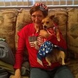 Available: Caring Dog Walker in Paw Paw MI