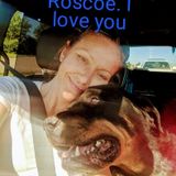 Belleville Pet Sitter/Walker Seeking Being Hired