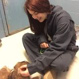 Reliable pet care available - flexible hours