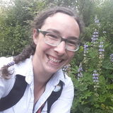 Insured dog walker & pet sitter!
