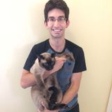 Great with cats and dogs